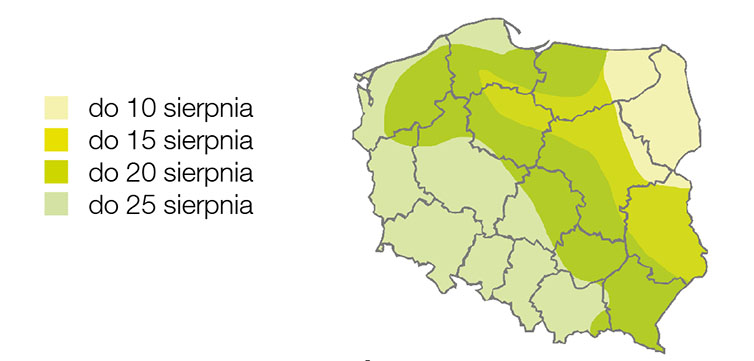 termin_siewu_rzepaku_mapa
