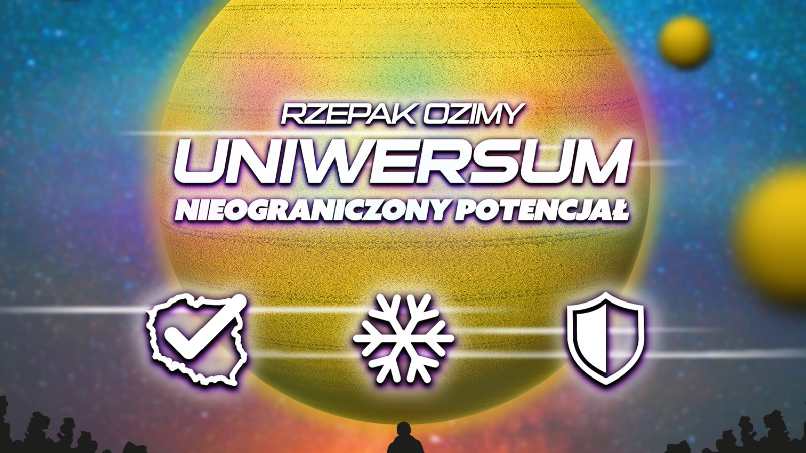 Rzepak ozimy UNIWERSUM