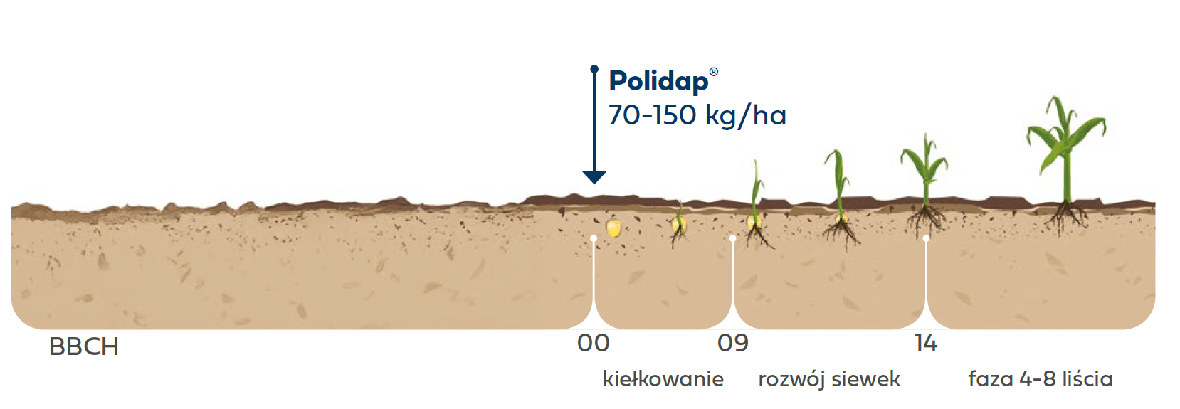 polidap-nawozenie