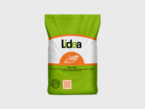 lidea_kukurydza-470x353