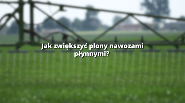 Wpisy-blogowe-na-lechpol-szubin-7-637x357