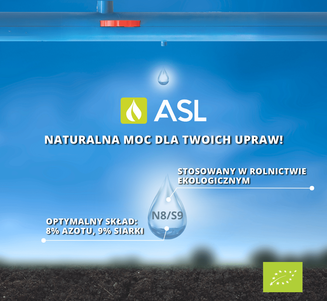 post-asl-11-e1739713981304