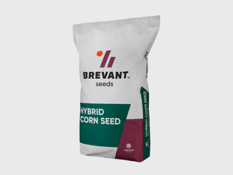 brevant_worek_kukurydza-470x353