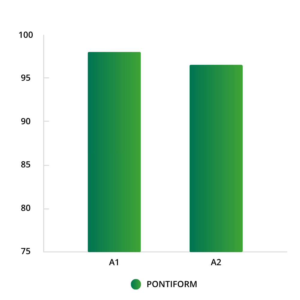 pontiform